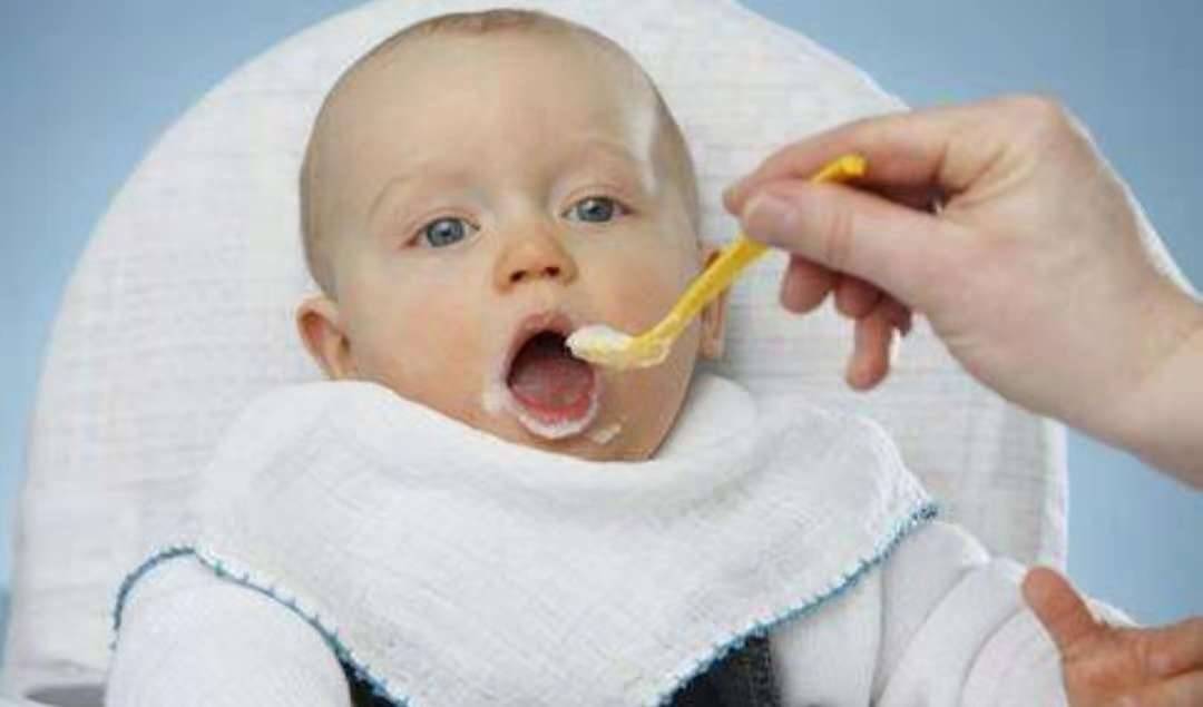 七个月宝宝吃什么?,7~8个月的宝宝吃什么比较好？
