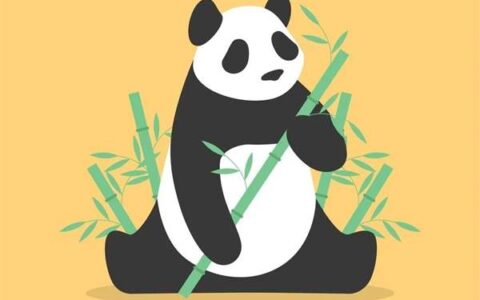 新纪录！全球圈养大熊猫最重幼仔诞生