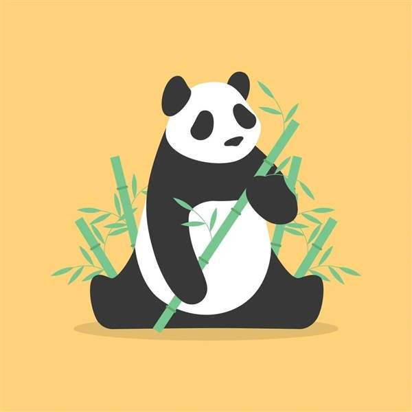 新纪录！全球圈养大熊猫最重幼仔诞生
