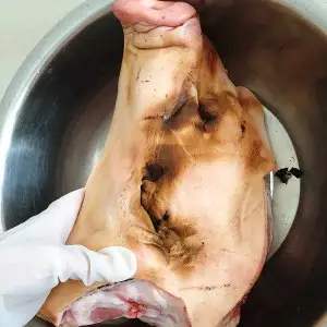 猪头肉怎么做好吃,猪头肉最好吃的做法
