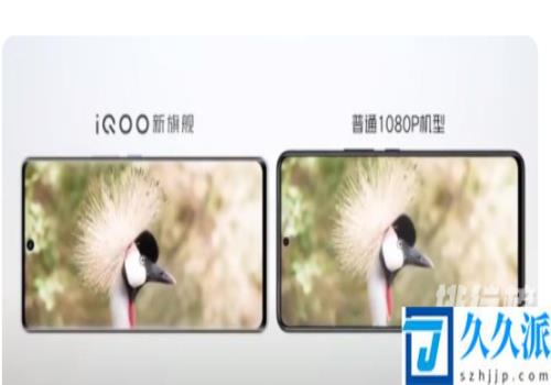 iqoo8pro屏幕尺寸?iqoo8pro屏幕多大尺寸