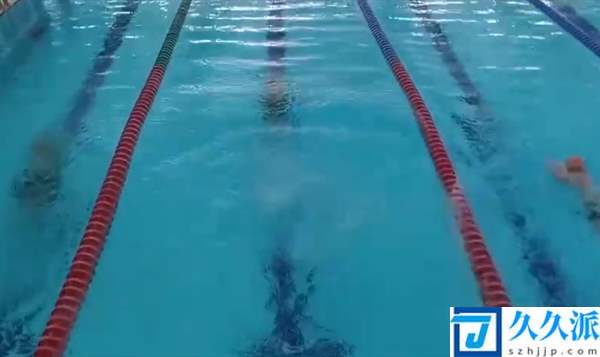“双减”新规落地！深圳游泳培训市场火爆：中小学生扎堆学游泳