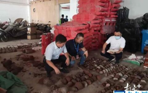 广东一制毒窝点发现542枚恐龙蛋化石,已交由相关机构