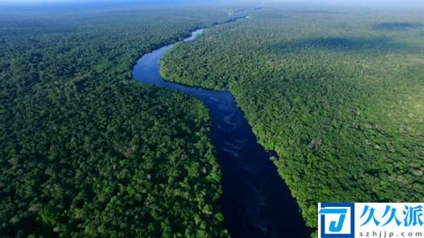 “地球之肺”被逆转了：亚马逊雨林已成二氧化碳净排放源