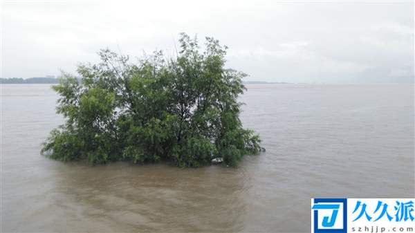 长江2021年第1号洪水在上游形成：5.5万立方米/秒冲向三峡