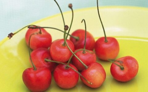 樱桃的功效与作用有哪些 怎样吃樱桃美容护肤
