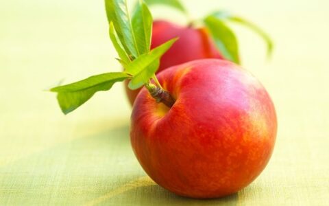油桃有什么营养价值 油桃的营养价值是什么