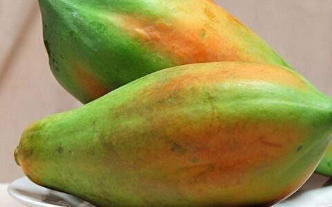 没熟的木瓜能不能吃 没熟的木瓜怎么做好吃