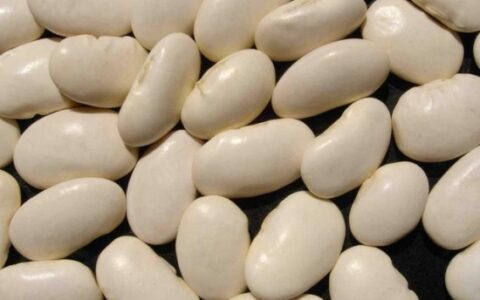 白芸豆减肥是真是假 白芸豆可以空腹吃吗