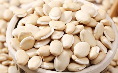 白扁豆的做法 白扁豆的做法和功效