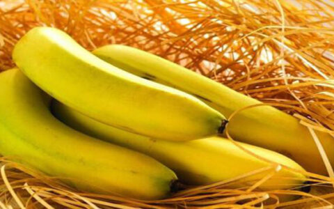 吃香蕉有什么坏处 吃香蕉不可以吃什么东西