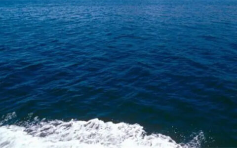 ​海水为什么是蓝色的 海水呈现蓝色的主要原因
