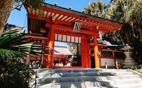 日本东京神社有哪些(日本神社是干嘛用的)