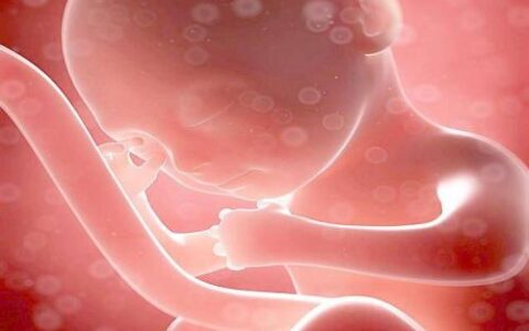 孕初期胎死腹中征兆(死胎孕妇有什么症状)