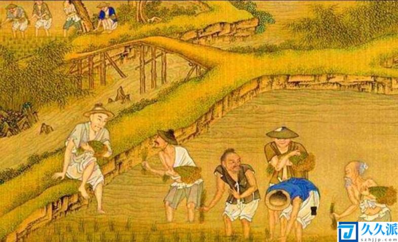 世界上最早种植水稻的国家（水稻哪个朝代传入中国）
