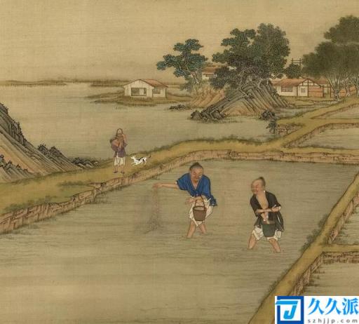 世界上最早种植水稻的国家（水稻哪个朝代传入中国）