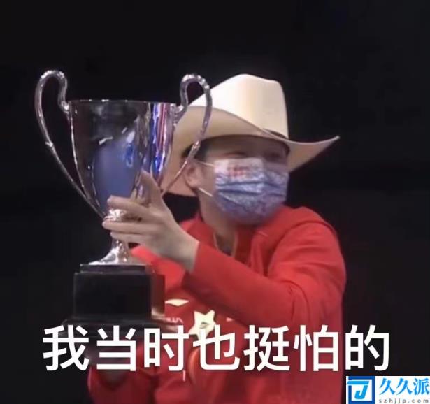 樊振东：第一次拿世乒赛冠军(没想到盖儿是分开的(樊振东获世乒赛男单冠军))