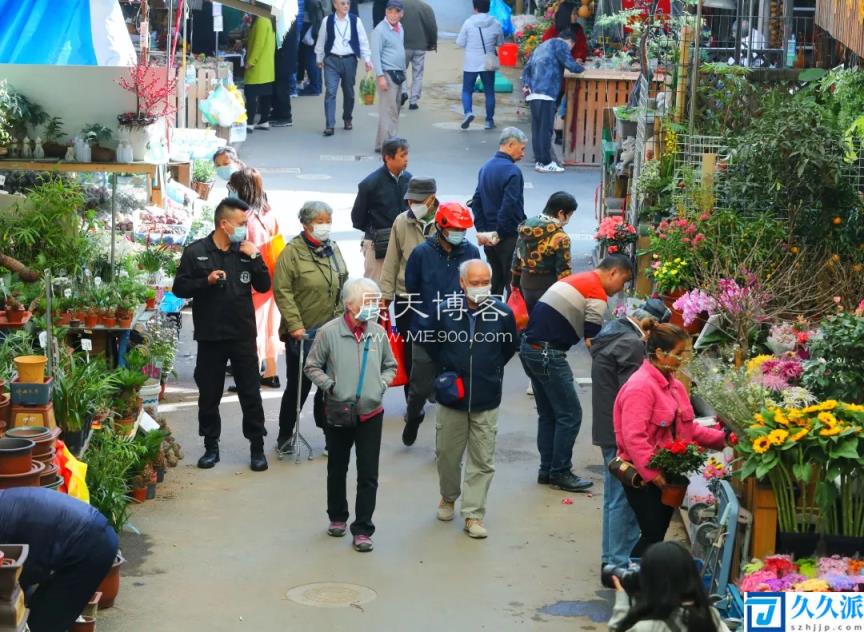 上海宠物市场一览表(上海的宠物市场）