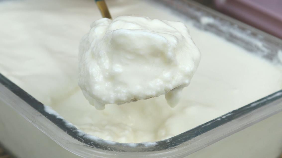 小熊酸奶机做酸奶的制作方法(酸奶机做酸奶的制作方法视频)