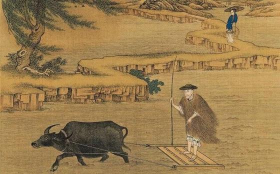 世界上最早种植水稻的国家是哪里(世界上最早种植水稻的国家是哪个国家)