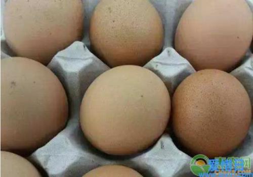 土鸡蛋大概多少钱一个(土鸡蛋多少钱一斤)