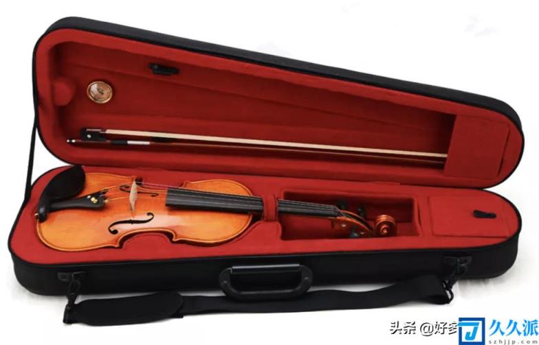 学小提琴多少钱（学小提琴烧钱吗）