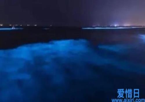 葫芦岛现罕见荧光海(葫芦岛蓝色荧光海)