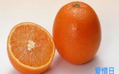 长期吃橙子的功效与作用(橙子是热性还是凉性上火吗)