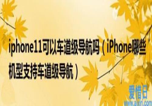 iPhone哪些机型支持车道级导航(iphone11可以车道级导航吗)