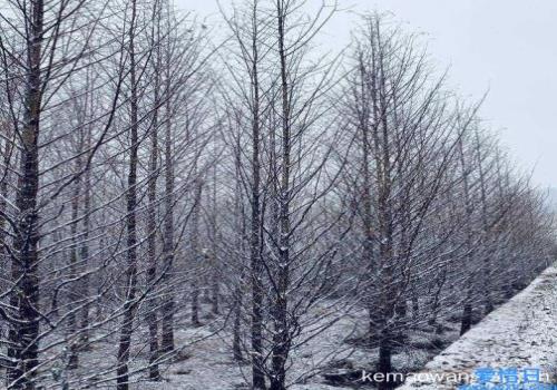 杭州下雪时间(杭州下雪吗冬天2021)