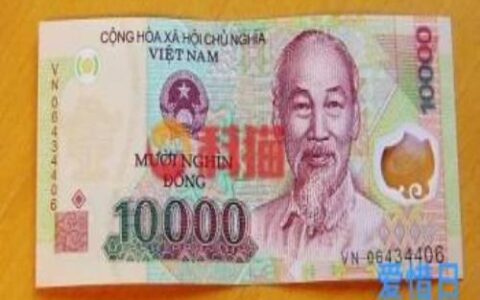 越南盾最大面值是多少(100万越南币值人民币多少钱)