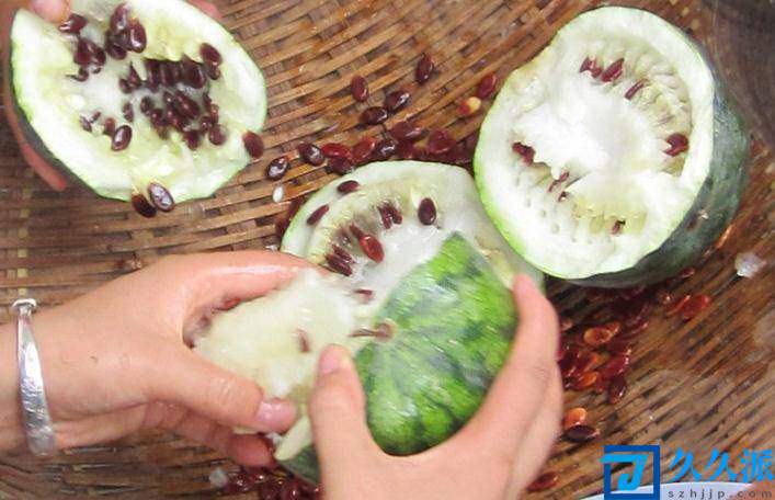 红瓜子多少钱一斤(一斤红多少钱)