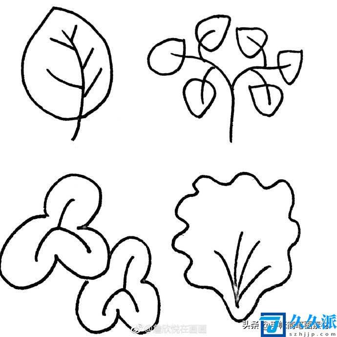 12种树叶的画法(有哪些树叶)