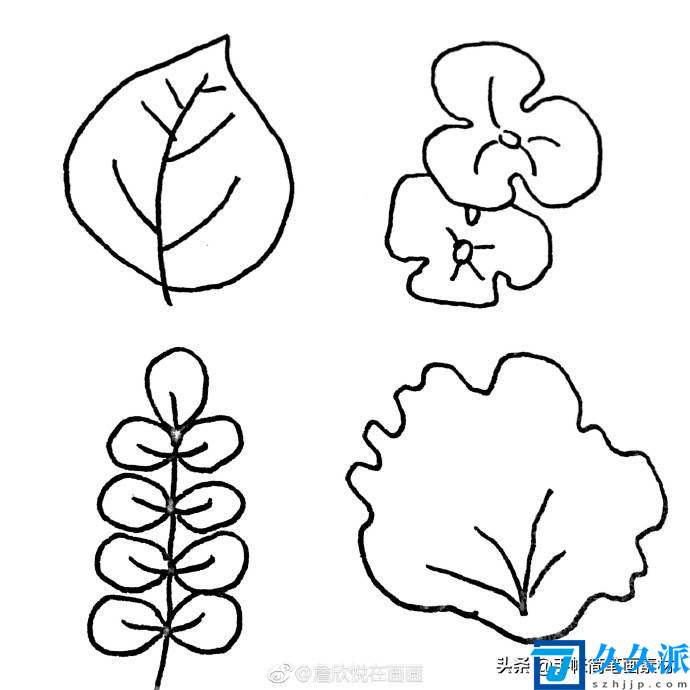 12种树叶的画法(有哪些树叶)
