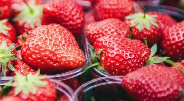 以色列农民种出全球最重草莓(以色列一颗289克草莓破纪录)
