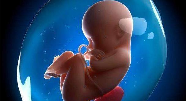 胎儿在母亲腹中颅内出血超50毫升危在旦夕(胎儿在妈妈腹中脑出血超50毫升)