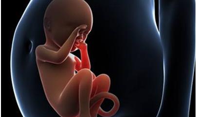 胎儿在母亲腹中颅内出血超50毫升危在旦夕(胎儿在妈妈腹中脑出血超50毫升)